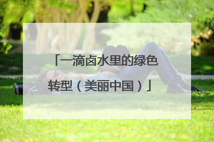 一滴卤水里的绿色转型（美丽中国）